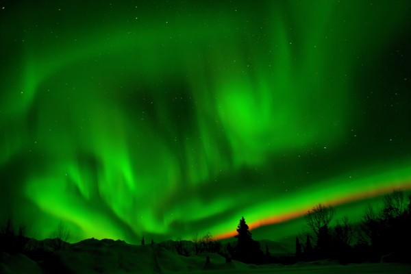 Aurora 