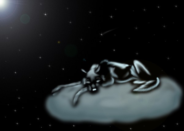 Starry Night