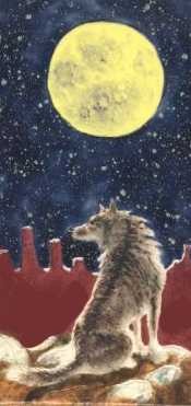 Wolf and the Full Moon