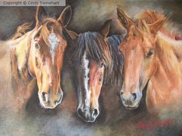 3 generation horse portrait