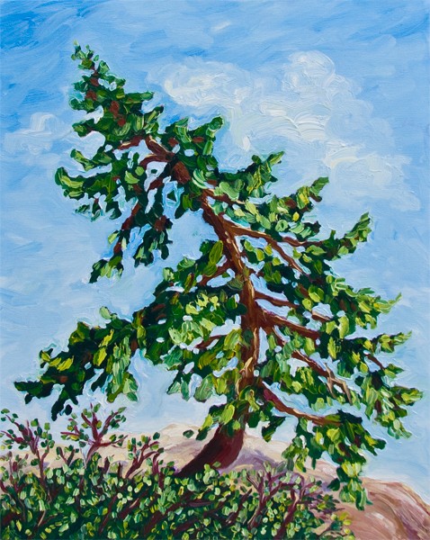 Groovin'Tree