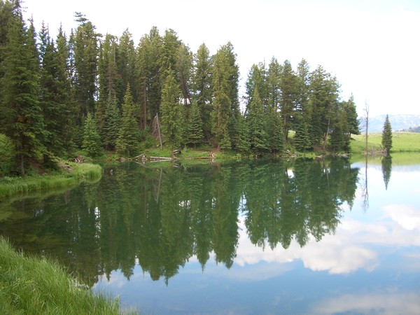 Trout Lake