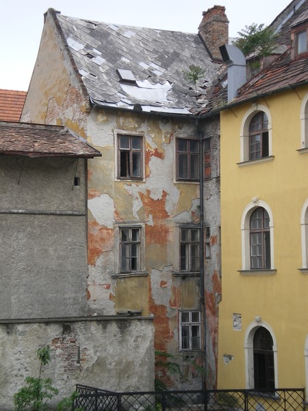 Skin House