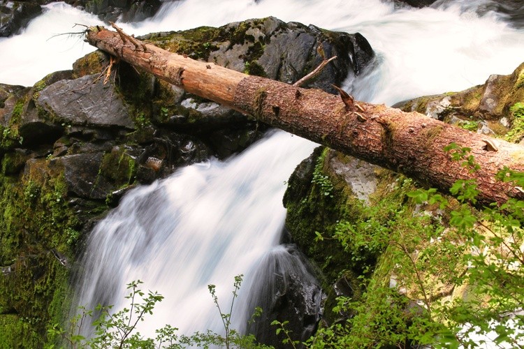 Sol Duc Falls