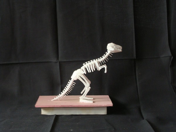 Dinasaur