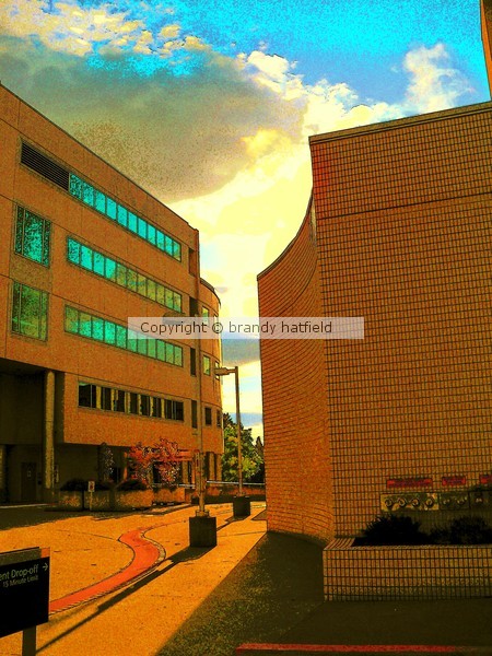 Tan Building
