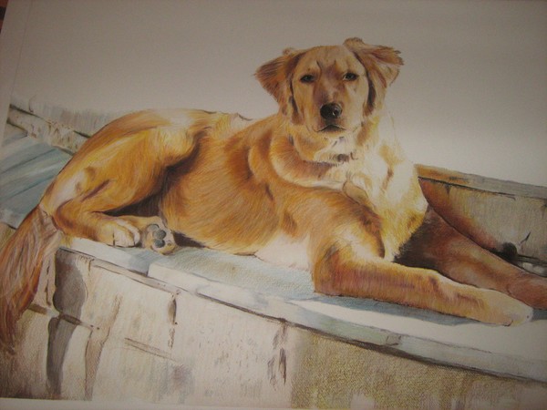commission portrait september colored pencil 18x24