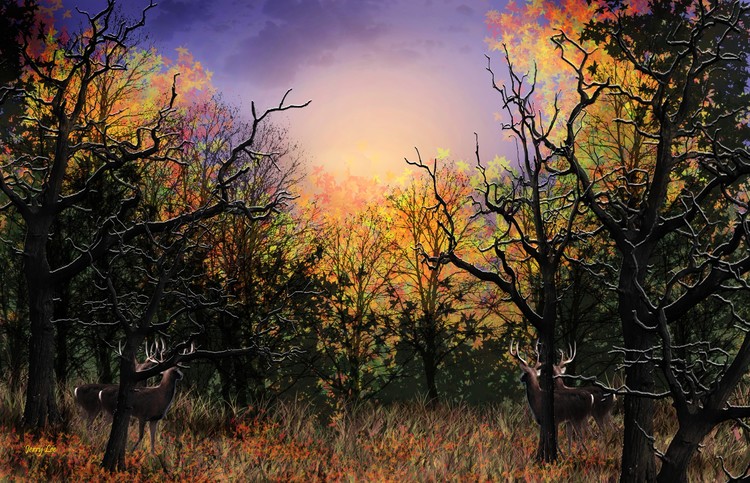 Autumn Color