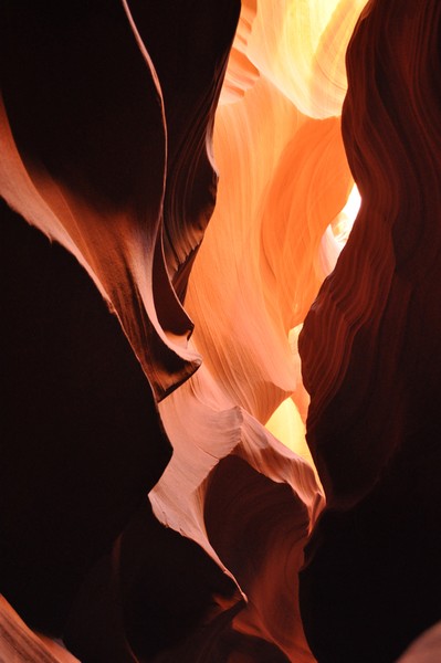 the light....
