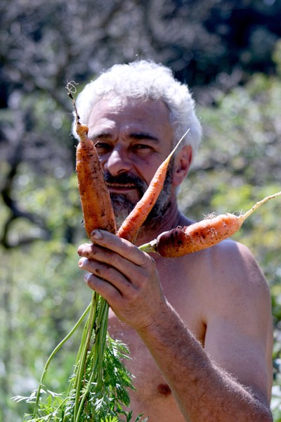 Cenouras
