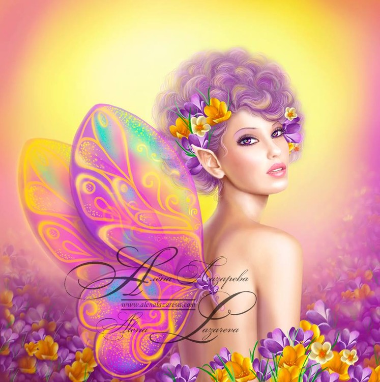 Pink Fairy