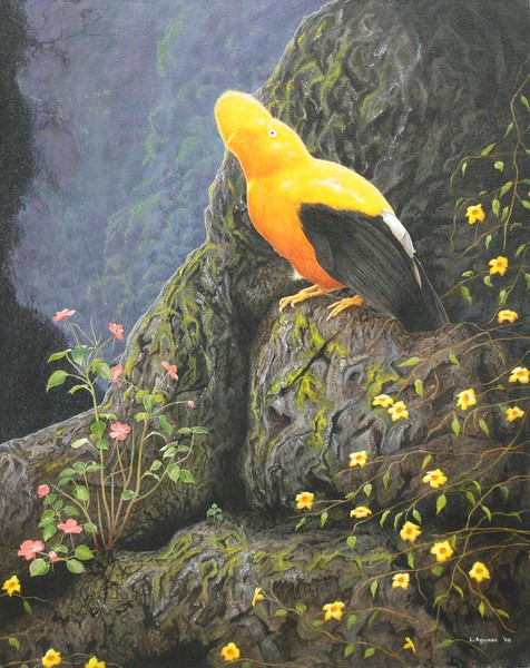 Habitat