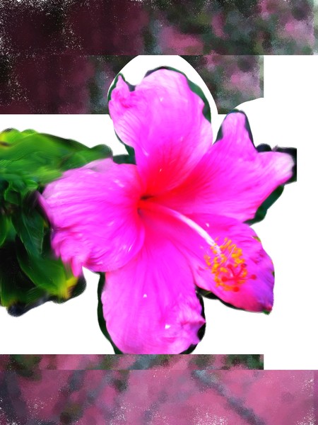 anne