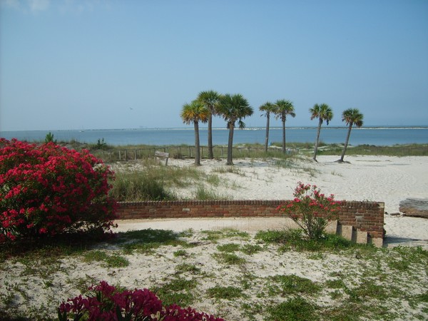 Mornin at the beach
