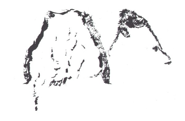 ink drawing 06