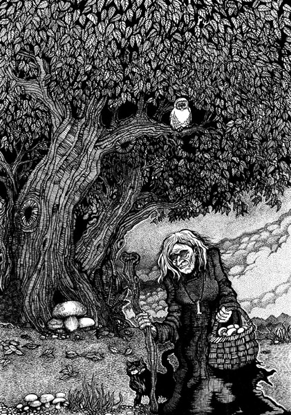 witch in the forest
