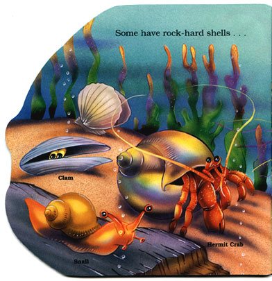 The Fish Book