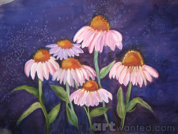 Daisy Crazy - SOLD