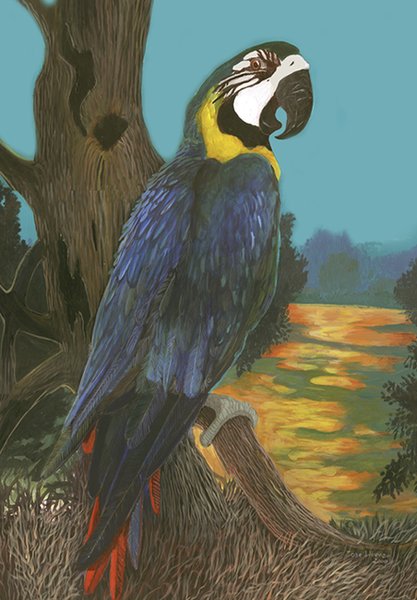 COTORRA