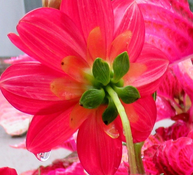 HAPPY SUNDAY !!!!