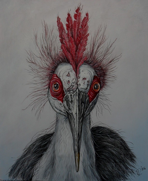 Strange Bird