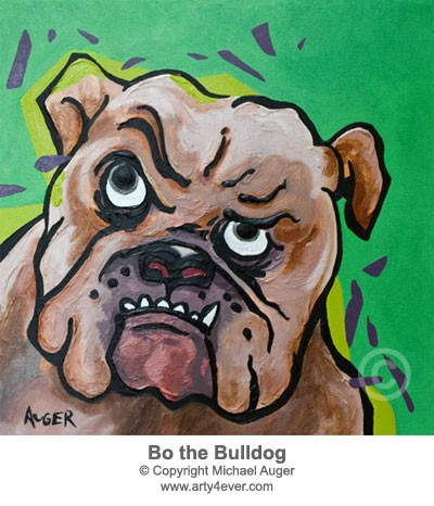 Bo the Bulldog