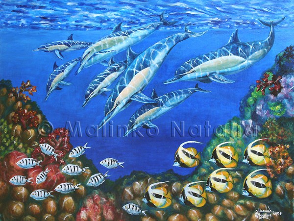 Group of the common dolpnins.