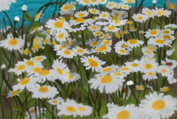 Daisy