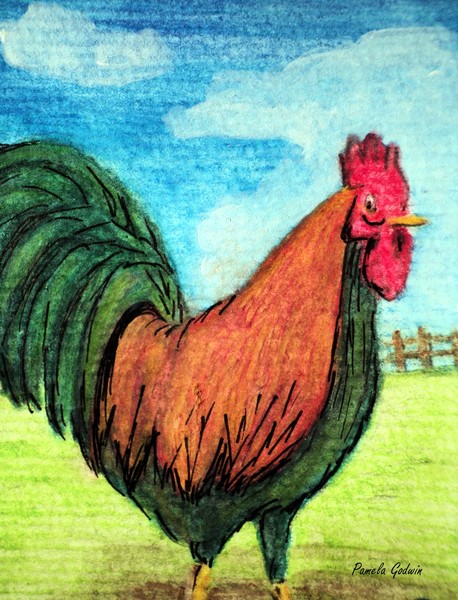 Rooster 