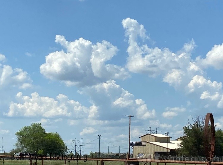 Pac-Man Cloud
