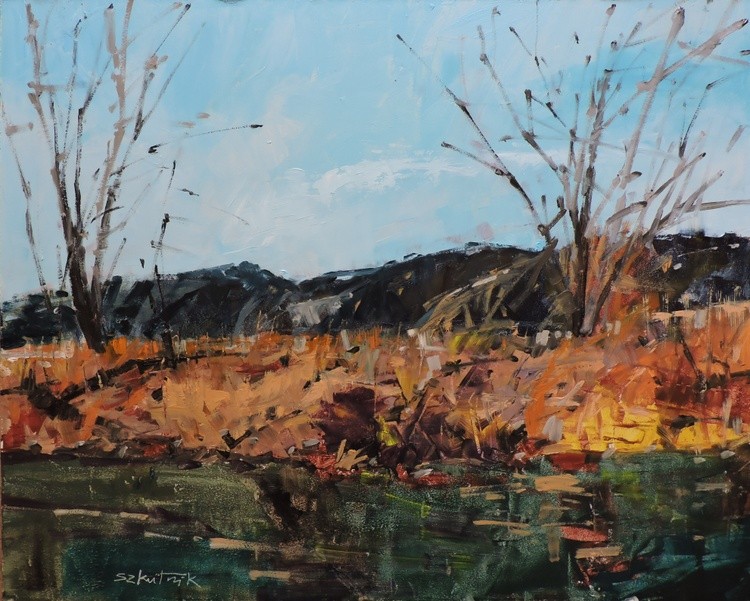 Carson Nature