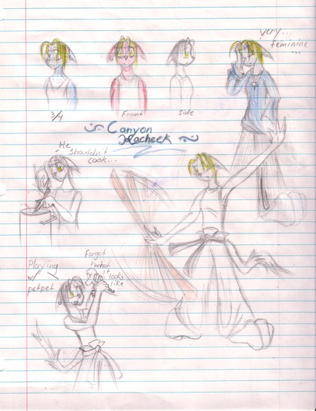 Characcter Sheet - Canyon 1