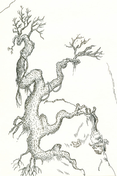 tree