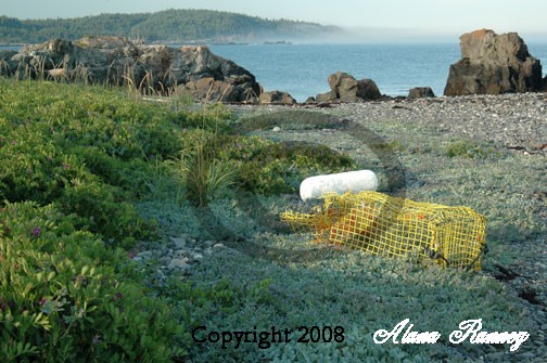 Coast  DownEast Maine