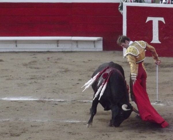 Bullfight (2)