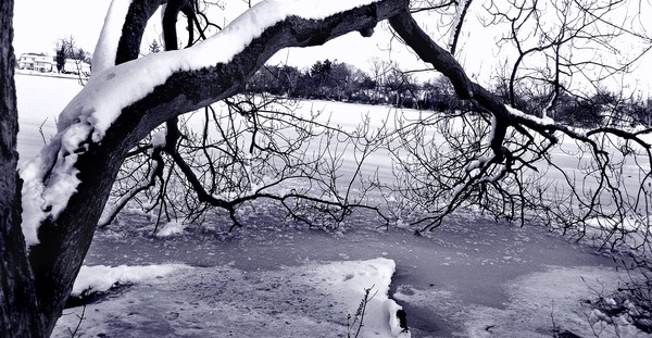 Snowy
