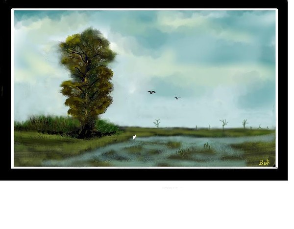Alone in the Marsh
