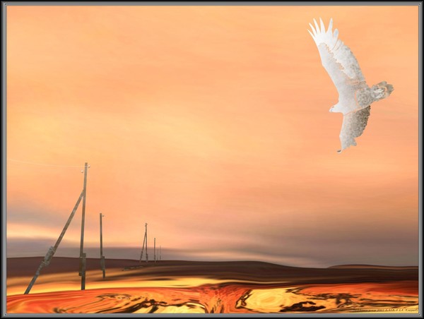 Scorched Earth