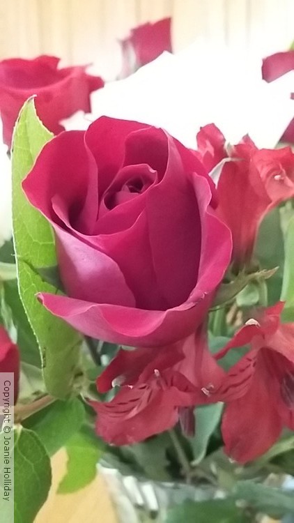 FOR SHARON