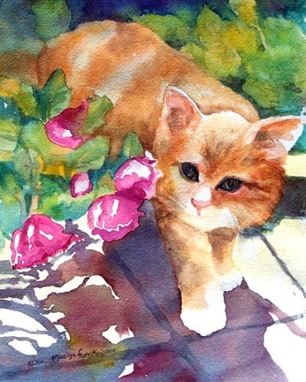 Orange Kitten