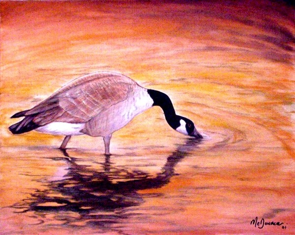 Golden Geese