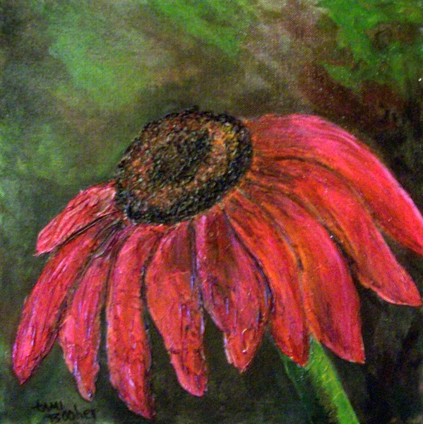Coneflower power