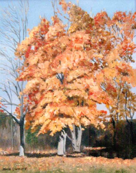 Maple in October