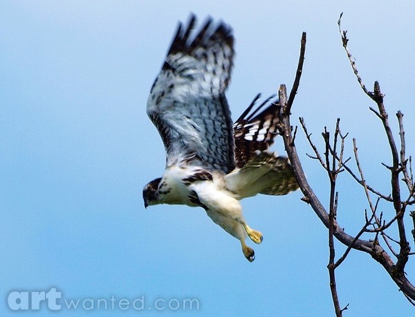 LIFT OFF