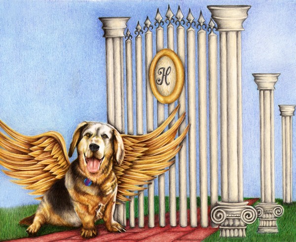 Pet Memorial - Manchester
