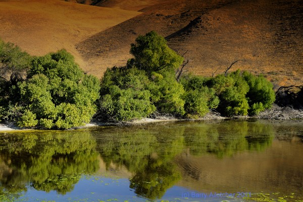 Gorman Pond 3