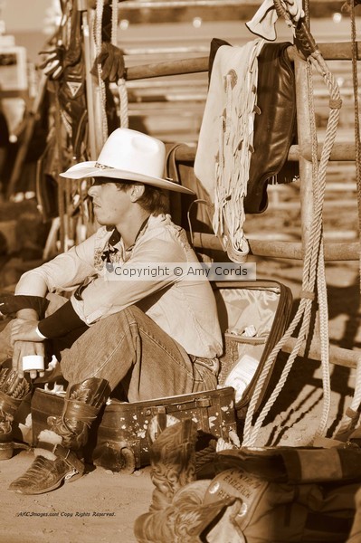 'Have Cowboy, Will Travel'
