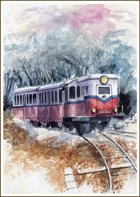 Rural diesel train
