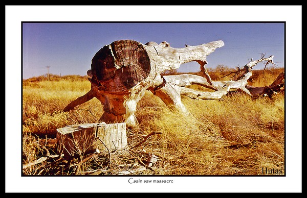 Chain saw massacre 11x17 
