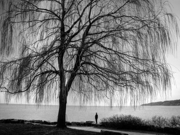 Sorrow